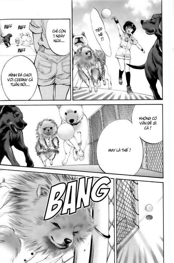 cô nàng yêu chó chapter 22 17