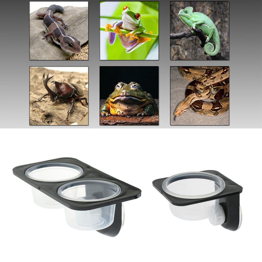 2PCS Insect Spider Reptile Anti-escape Tank Food Water Feeding Bowl Breeding Box