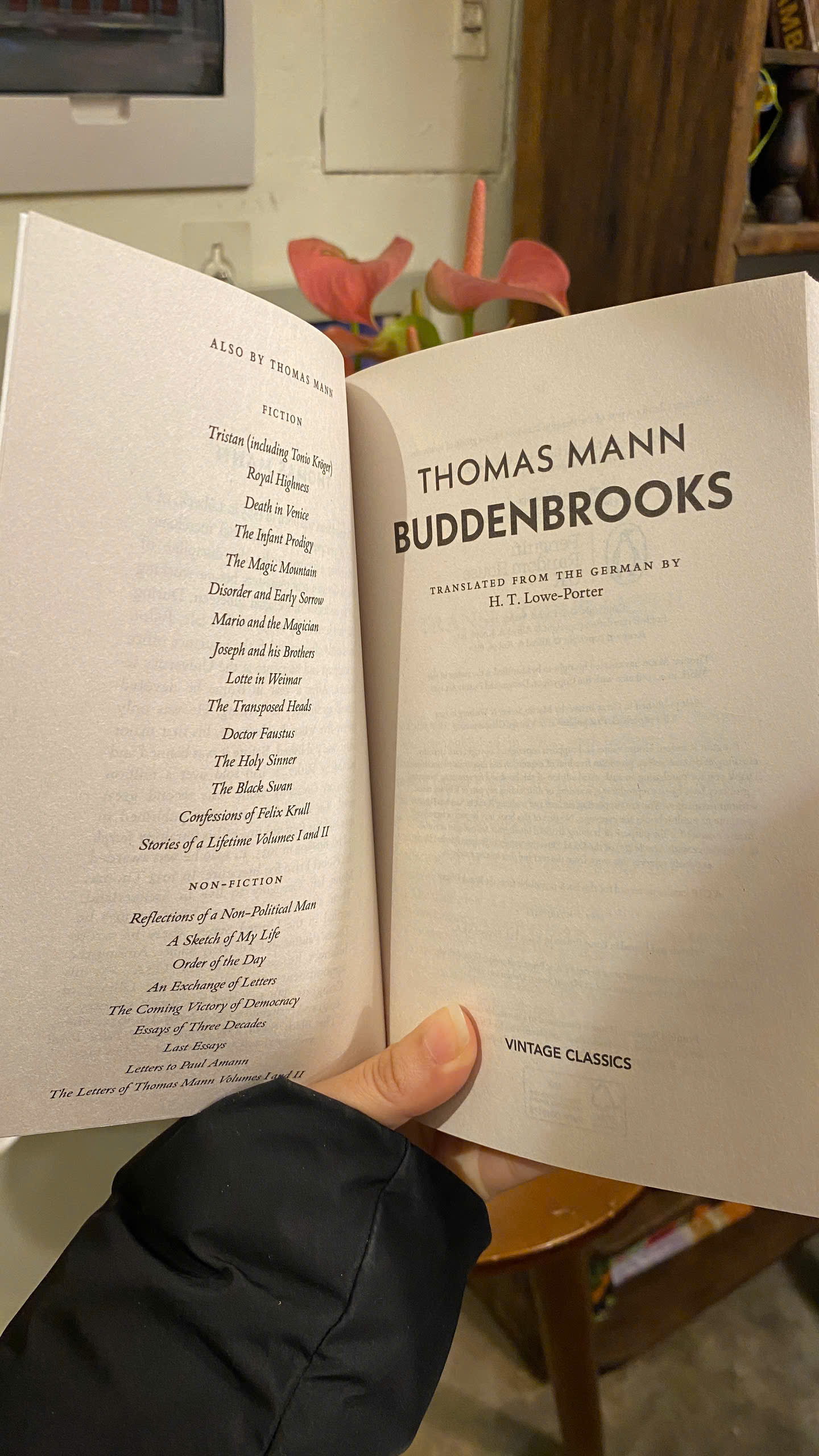 Sách - Buddenbrooks by Thomas Mann | Classics / Historical Fiction / Ngoại văn Kinh điển Nhập khẩu
