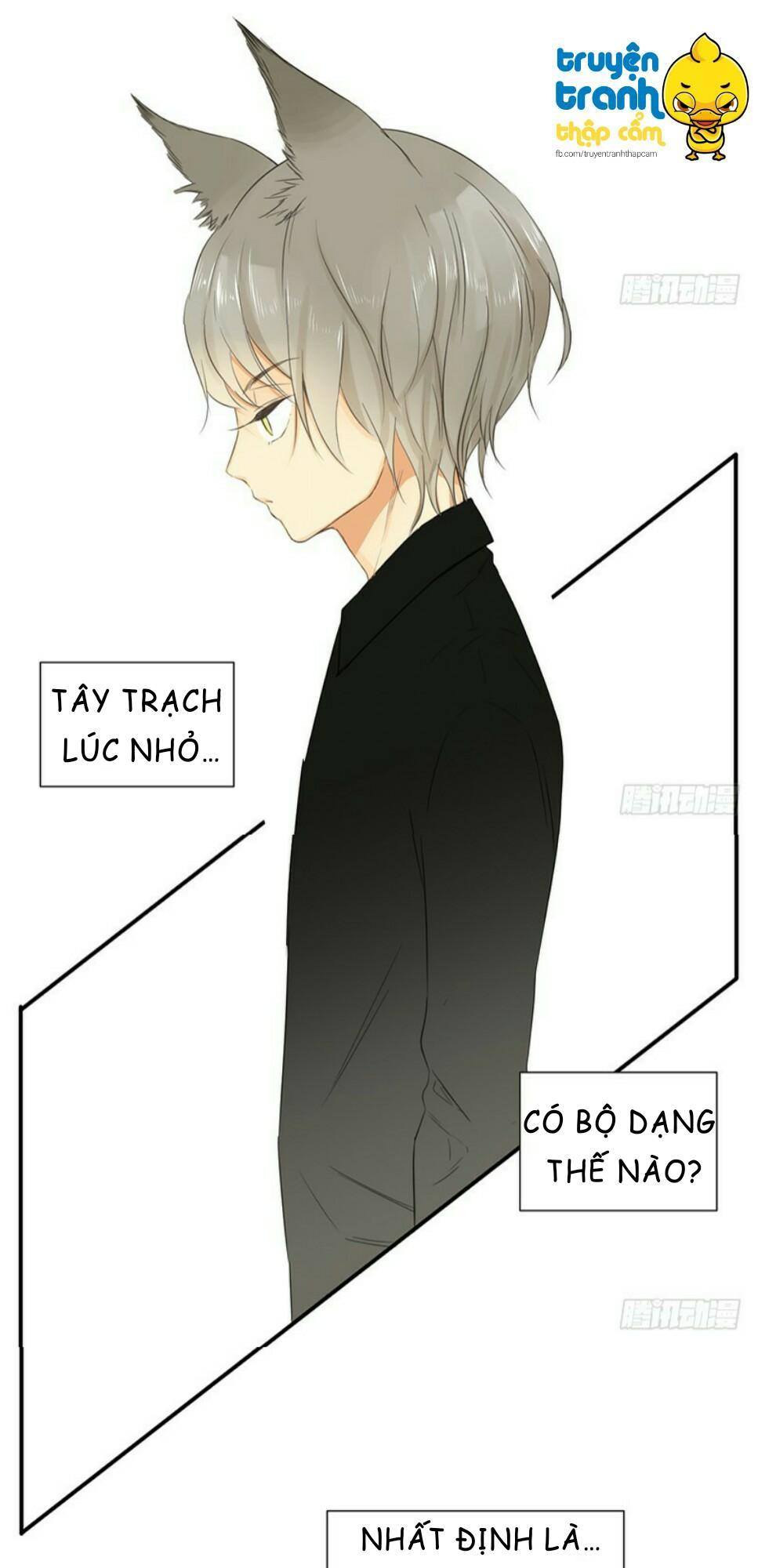 cứu mạng ! loài mèo thống trị thế giới rồi ! chapter 34 27