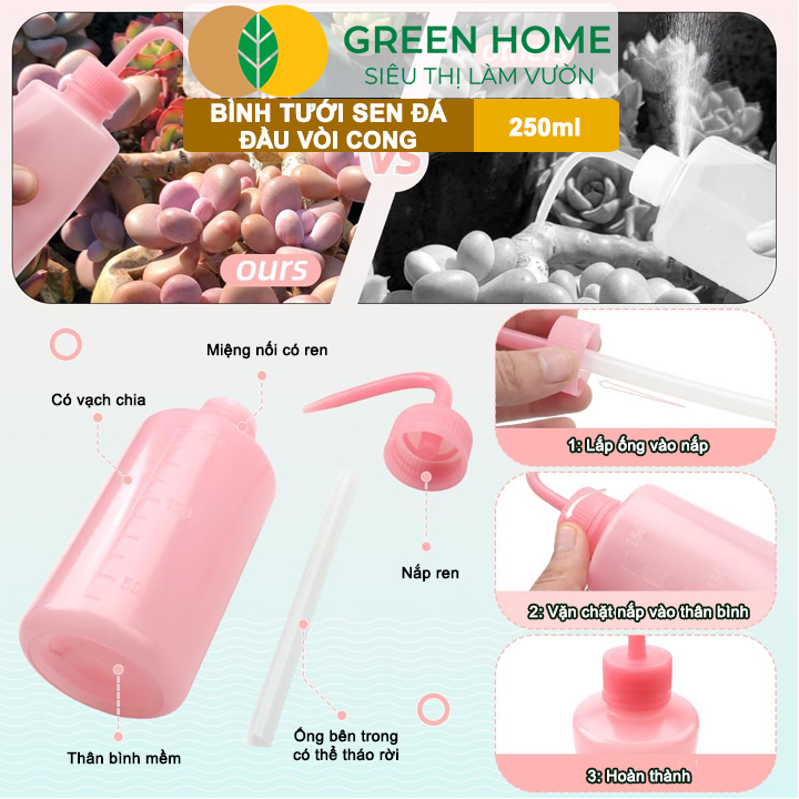 Bình Tưới Cây GreenHome, Vòi Cong 250ml, Phù Hợp Cho Sen Đá, Xương Rồng, Màu Sắc Ngẫu Nhiên