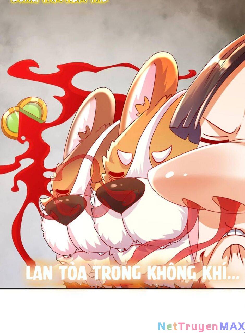 tuyệt thế đạo lữ chapter 61 31