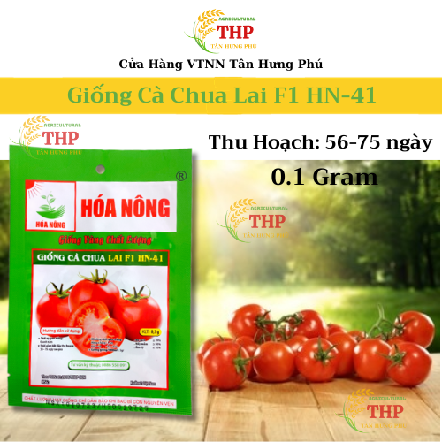 Hạt giống Cà Chua Lai F1 HN-41 | Hạt Giống | Gói 0.1gr