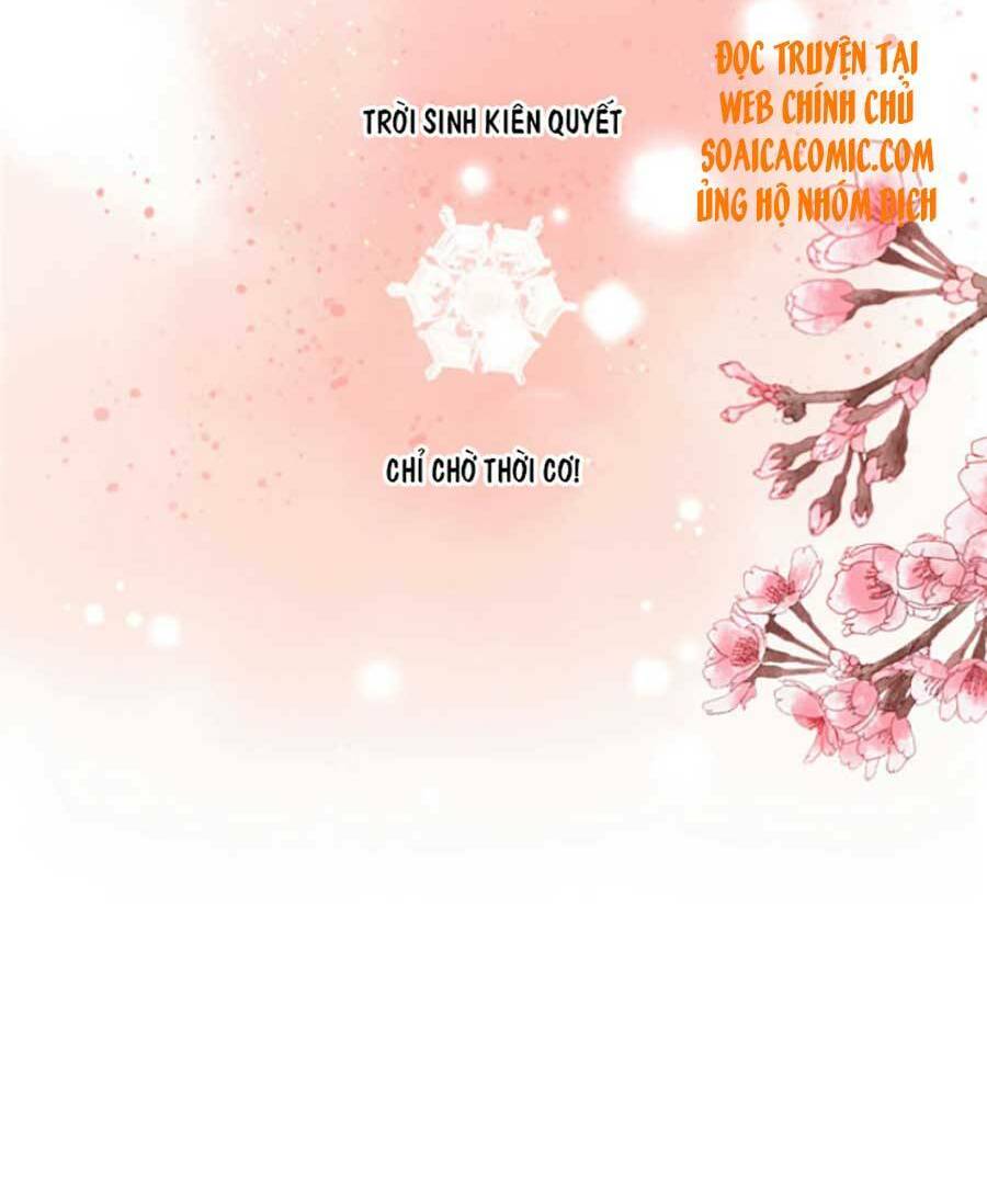 tướng quân, bổn phi không nhận sủng chapter 10 18