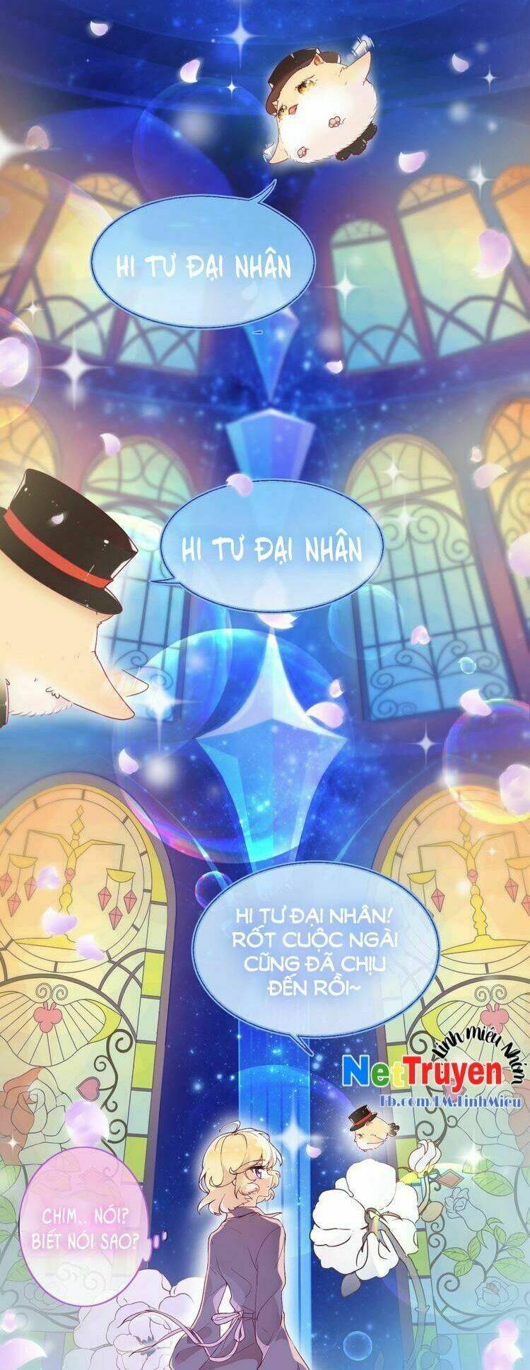 thuần bạch vận mệnh chi luân chapter 1 7