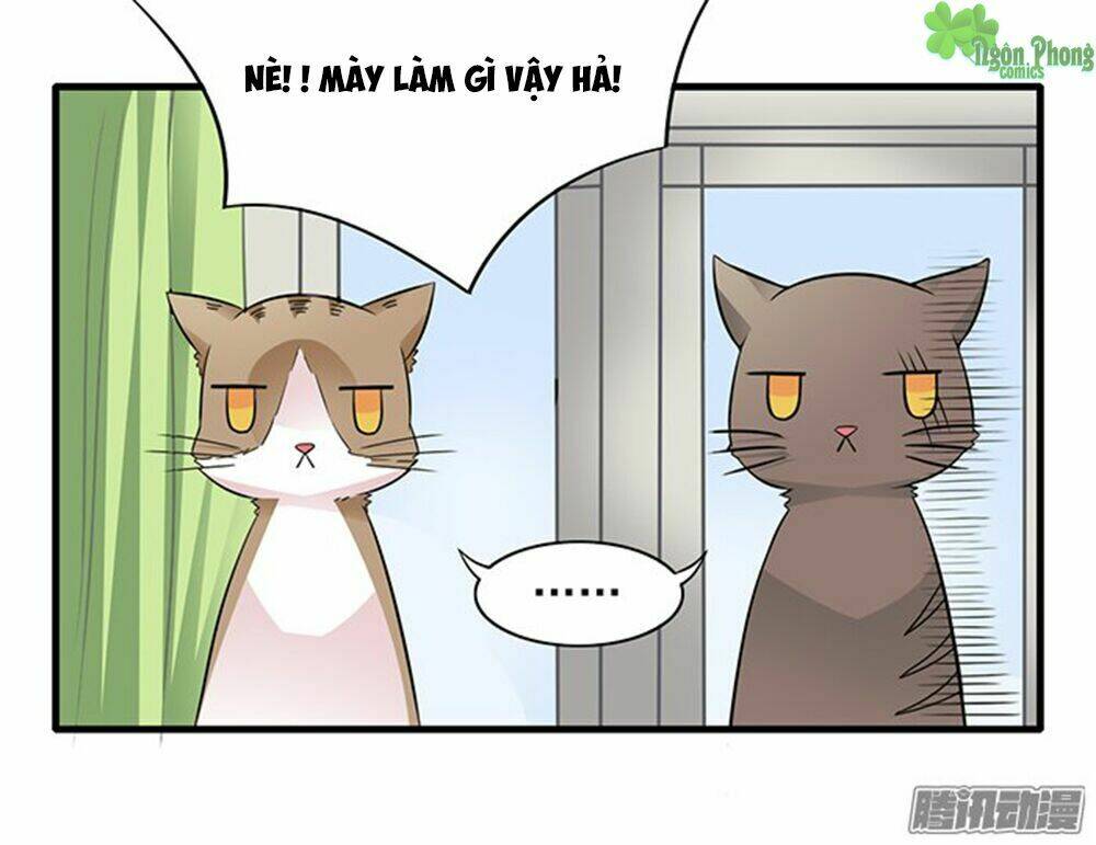 hai chú mèo totem chapter 12 3