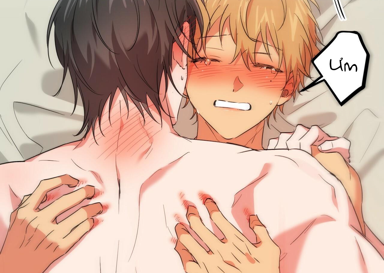 đàn thỏ của habibi chapter 54 227