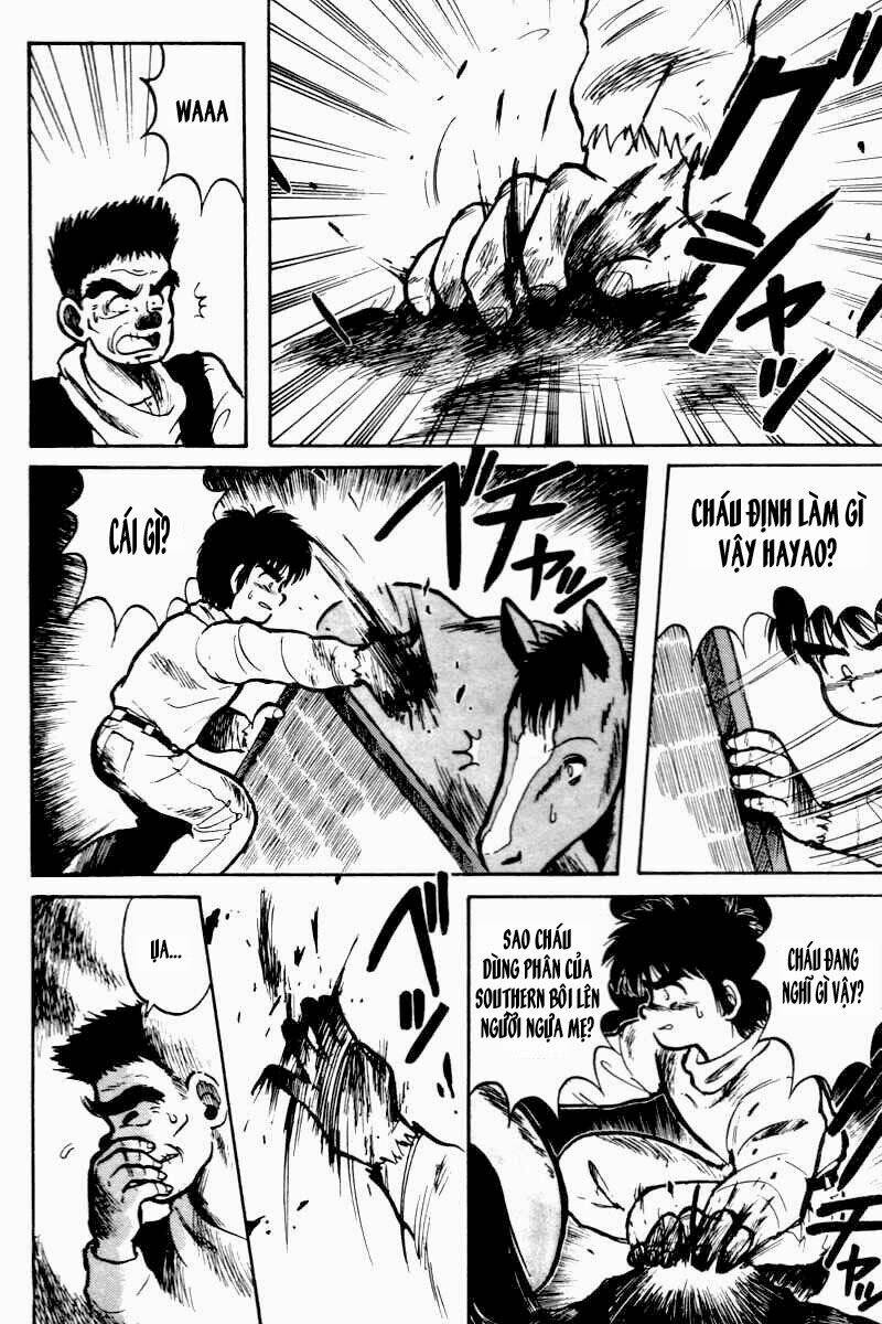 kaze no sylphid - phong mã silphid chapter 2 13