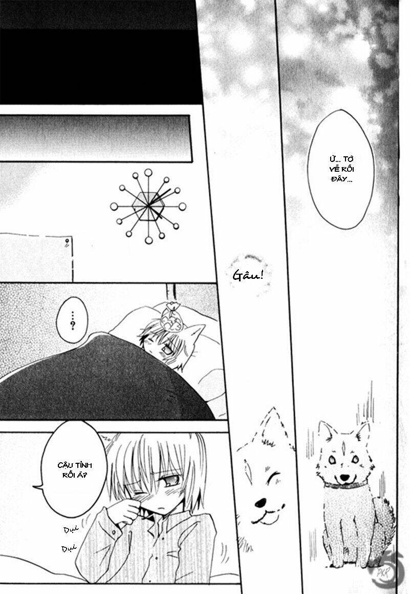 boku x neko? chapter 1.2 9