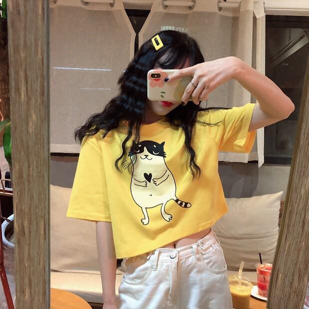 ÁO CROPTOP, ÁO CROPTOP Tay Ngắn NỮ, ÁO CROP ĐẸP, ÁO XINH, ÁO HOT, ÁO THUN LỬNG ULZZANG