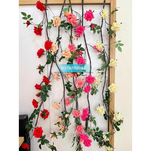 Dây leo Hoa hồng - Hoa lụa