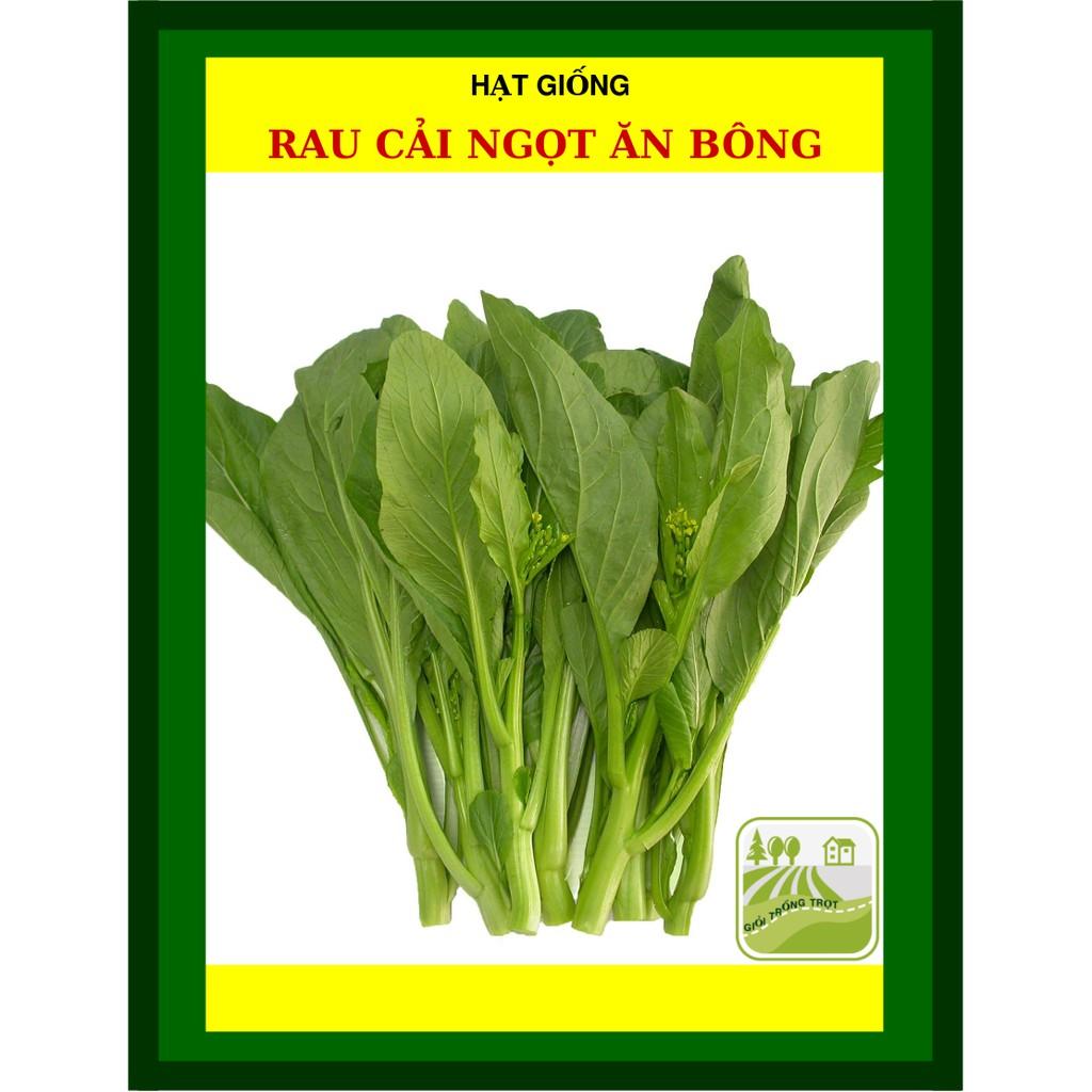 Gói 20gram - Hạt Giống Cải ngọt Ăn Bông Rạng Đông - Shop Hạt Giống Ba Miền Chịu Nhiệt