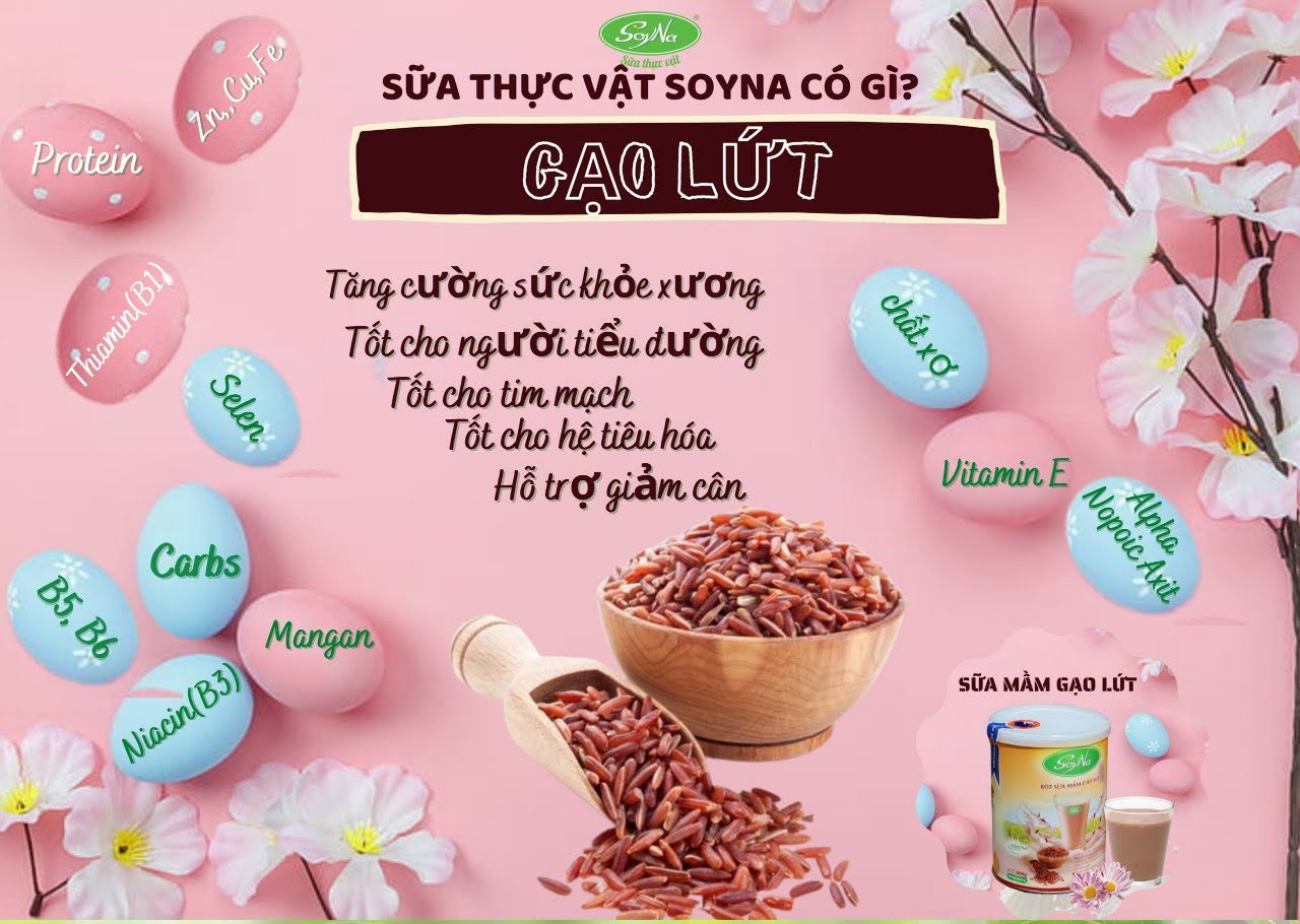 Bột Sữa Mầm Gạo Lứt Soyna 400g chính hãng tặng kèm 1 ly pha sữa