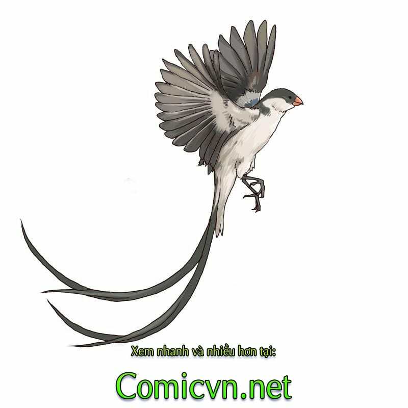 thế giới cận tử chapter 2 27