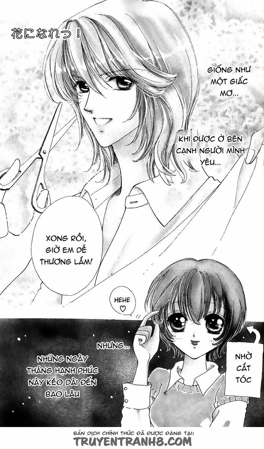 hana ni nare chapter 38 6