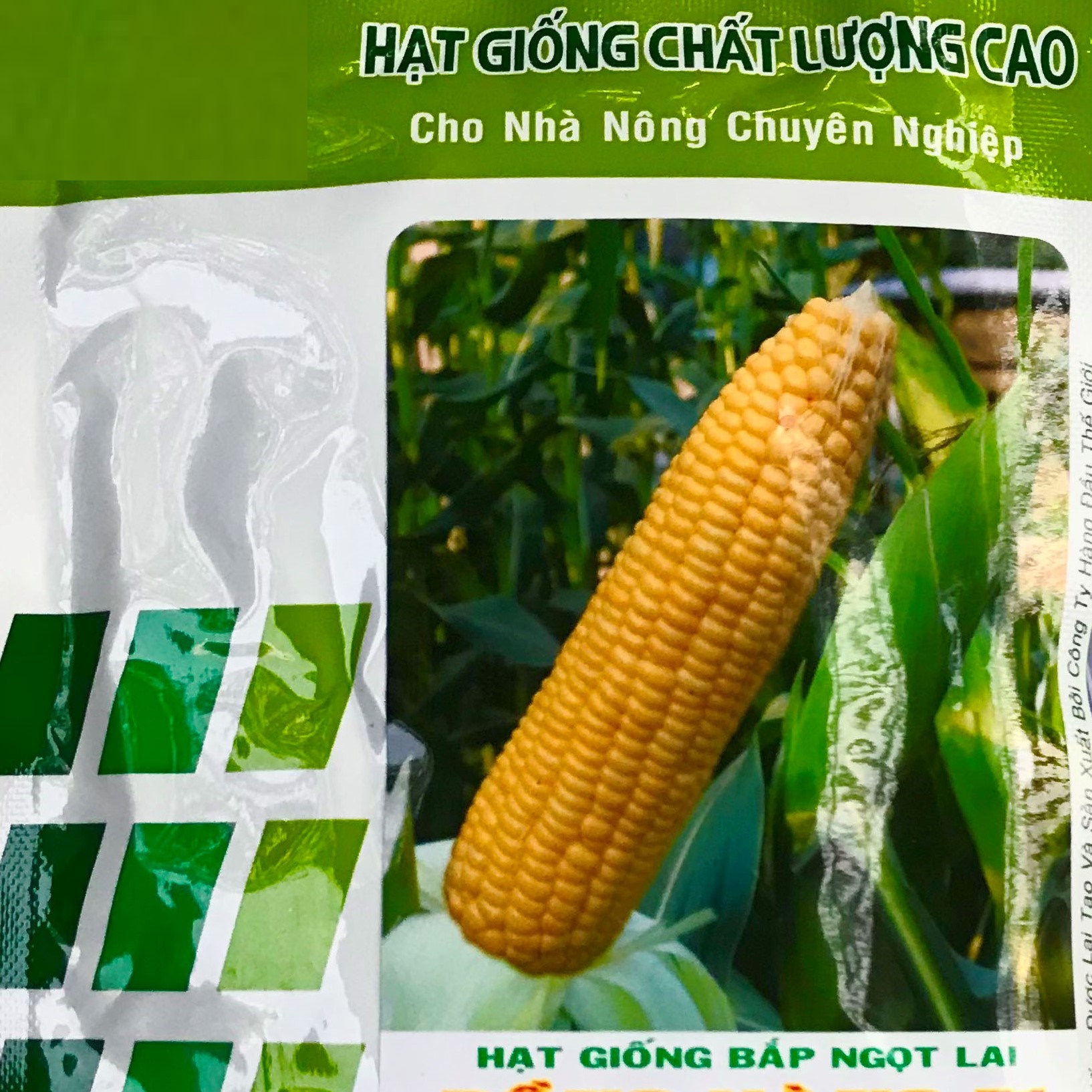 Hạt Giống Bắp Ngọt Lai Rồng Vàng Gói 50gr