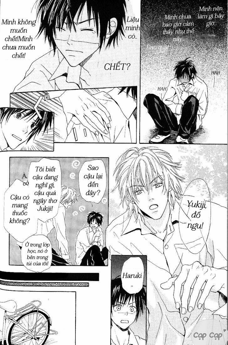 bijo, tokidoki yajuu chapter 1 28