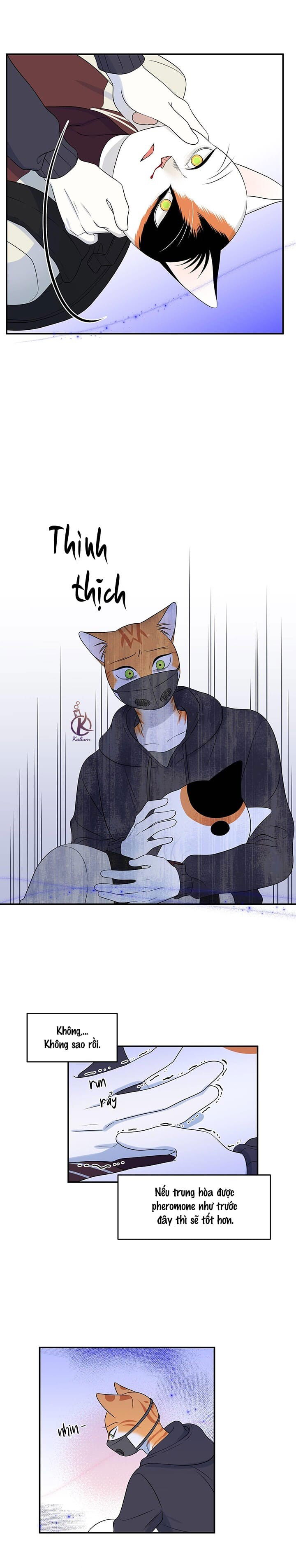 dự án xanh chapter 33 14