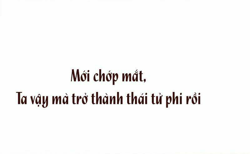 hoàng thái phi cũng muốn yêu chapter 0 24