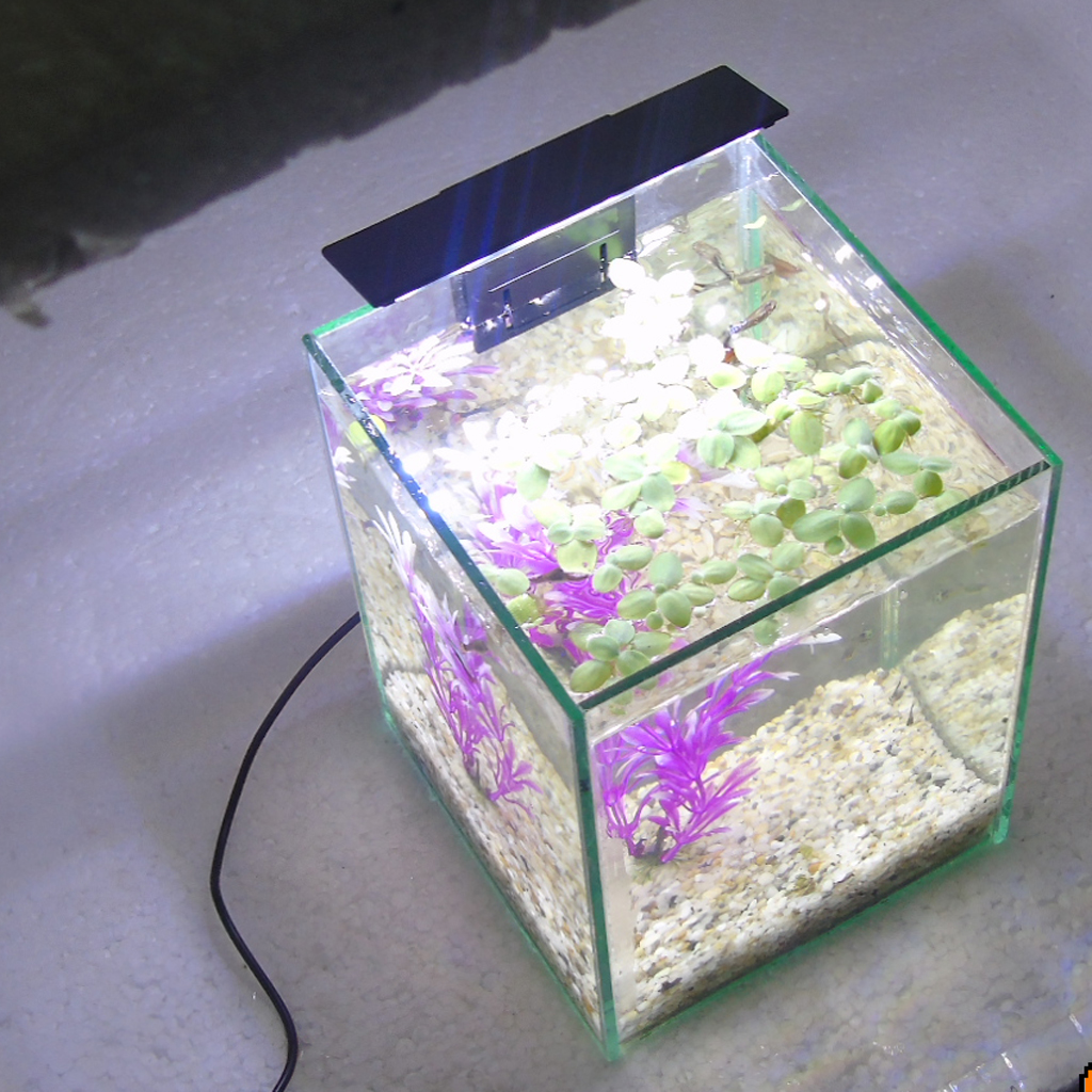 Bể cá mini để bàn 15x15x20 có đèn
