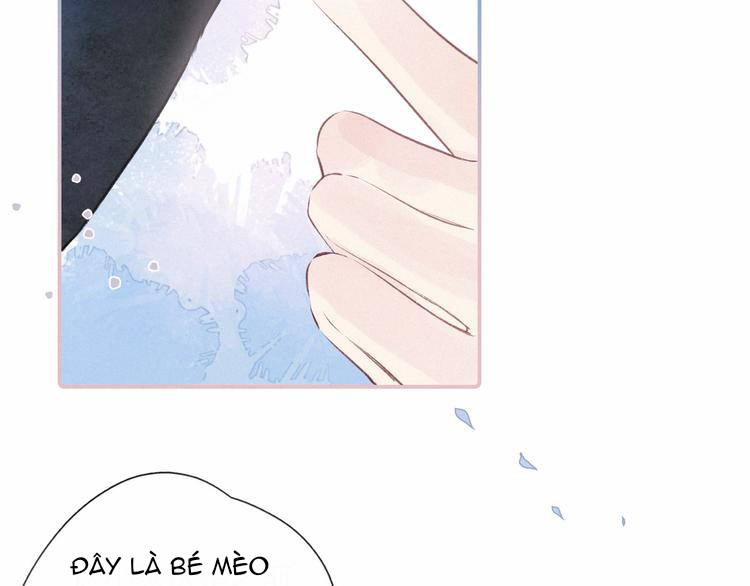 nỗi buồn của hoa cẩm tú cầu chapter 51 37