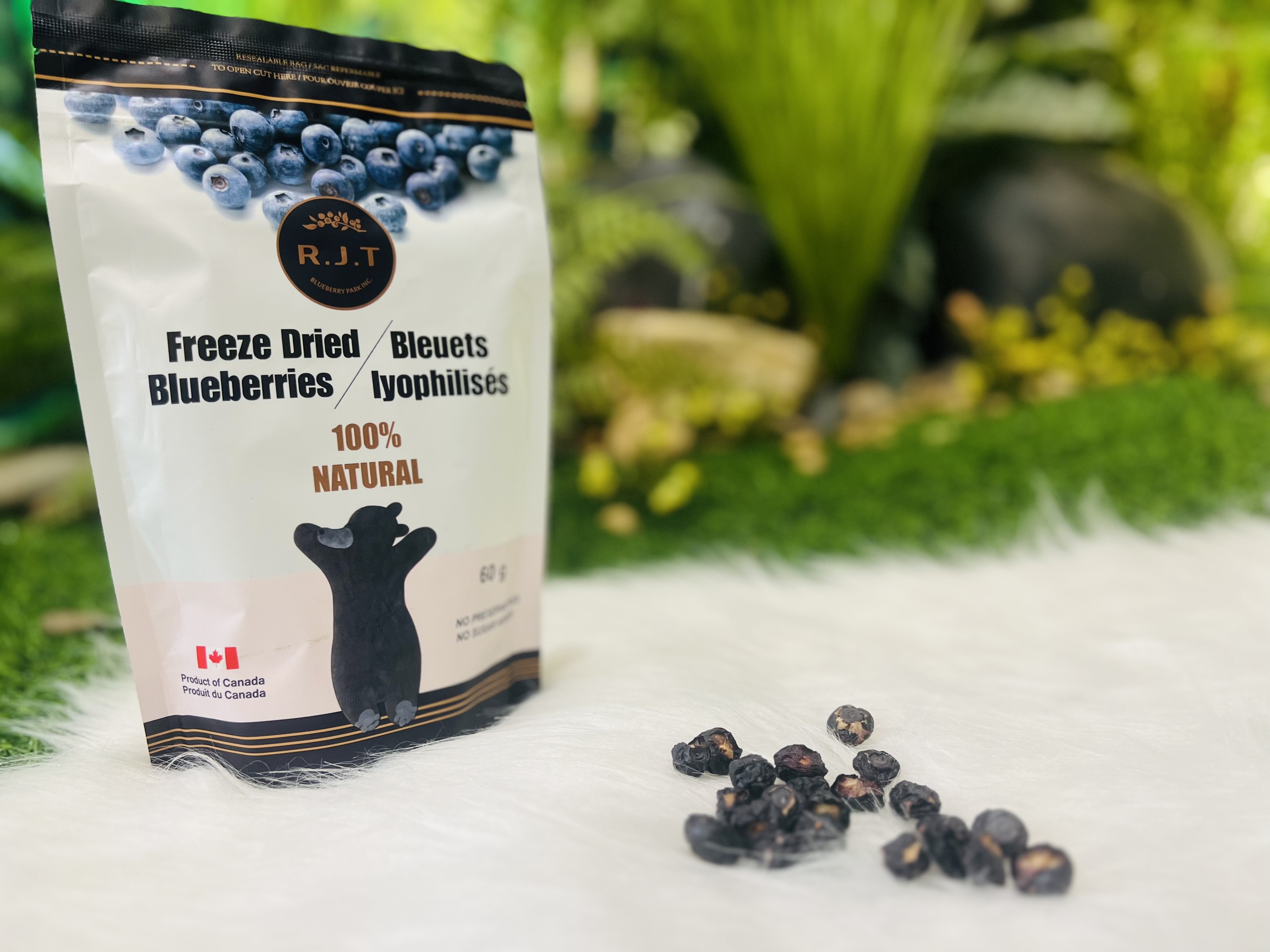 Việt quất sấy lạnh Blueberry - RJT FREEZE DRIED BLUEBRRIES 60gr