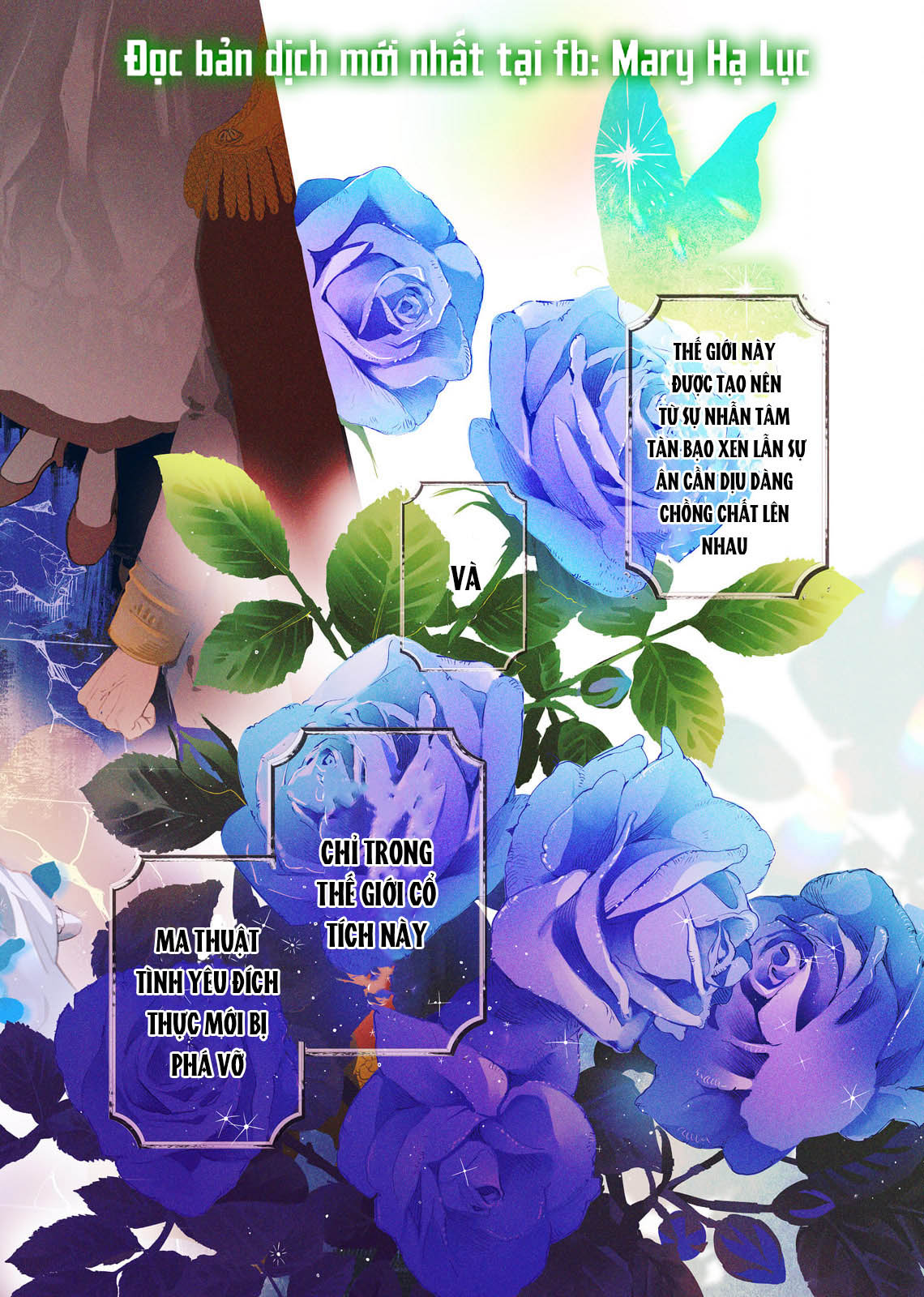 Sao Băng Ẩn Trong Hoa chapter 1.1 3
