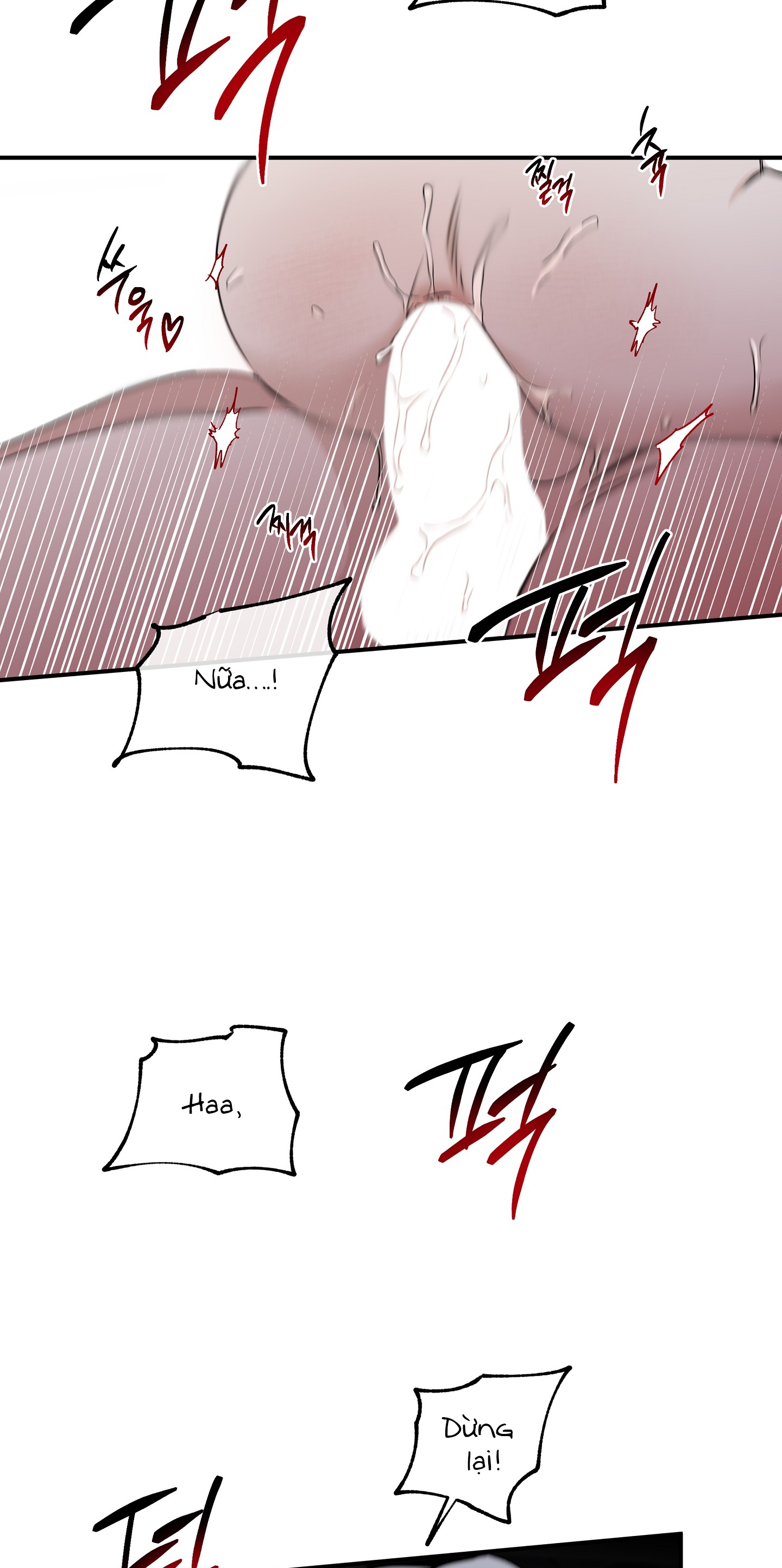 đêm bên bờ biển chapter 55.5 5