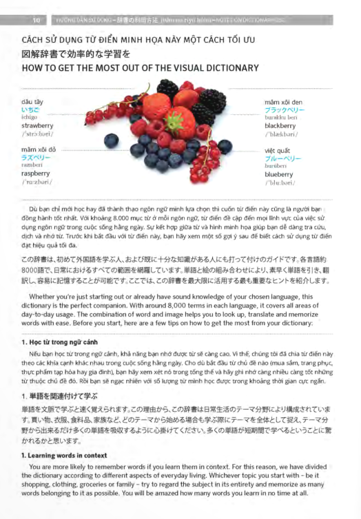 Sách PONS GENERAL REFERENCE – TRILINGUAL VISUAL DICTIONARY Vietnamese–Japanese–English