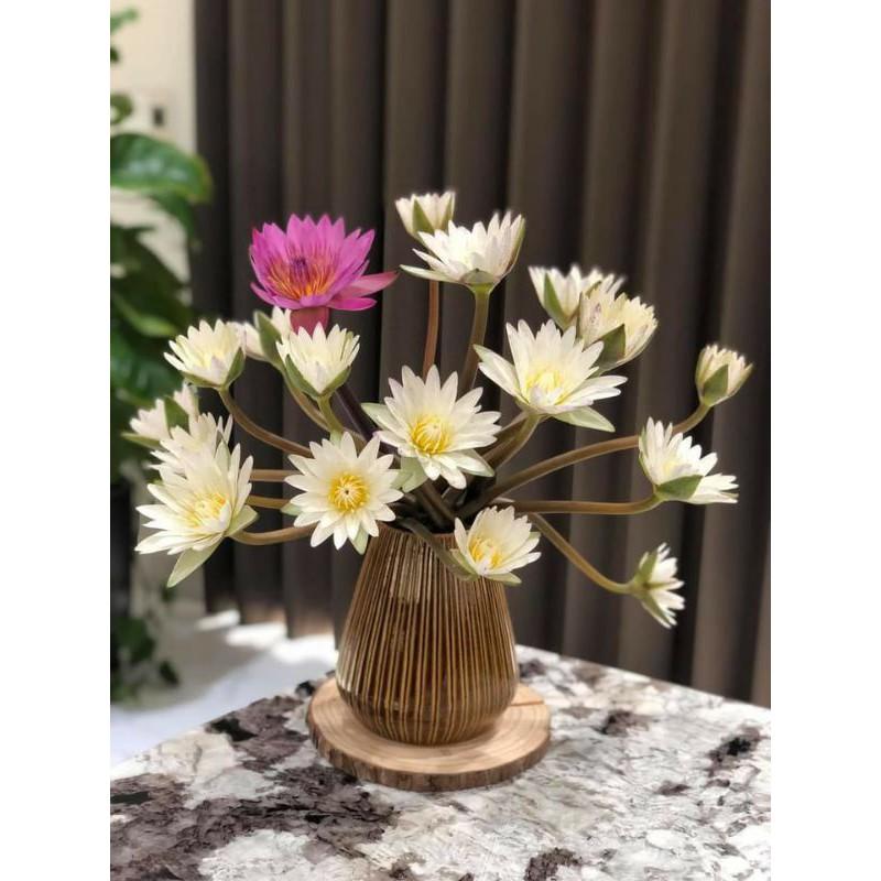 Lọ hoa dòng hỏa biến