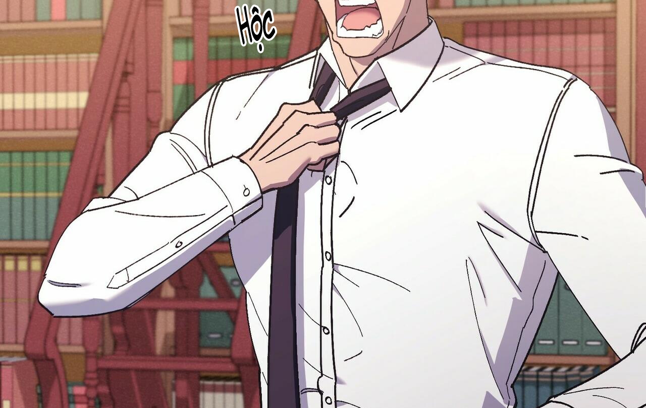 chàng dâu nhà họ kang chapter 28 36