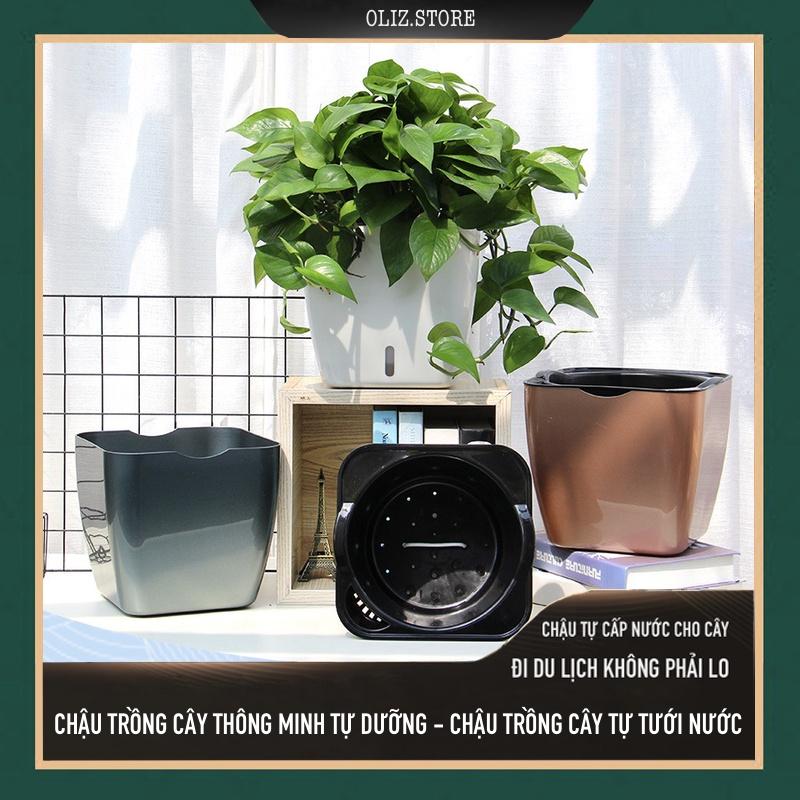Chậu trồng cây Oliz G113. Chậu trồng cây thông minh tự tưới