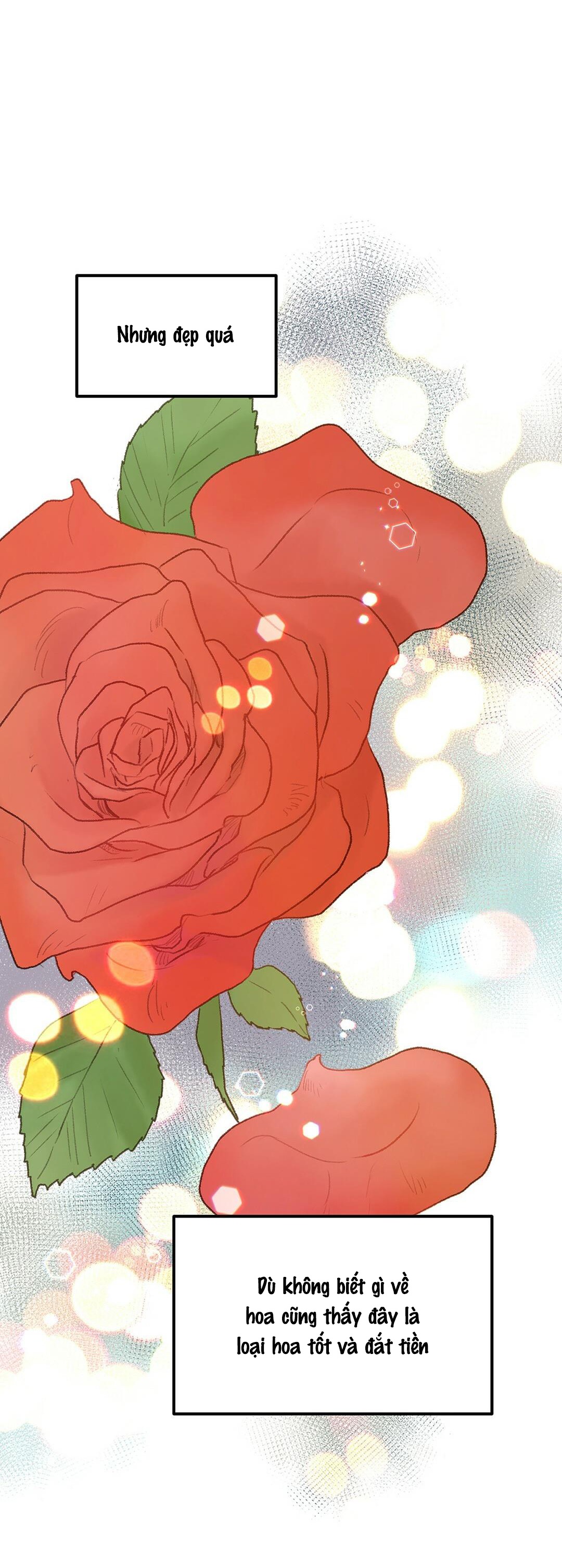 vùng cấm tình yêu của beta chapter 36 40