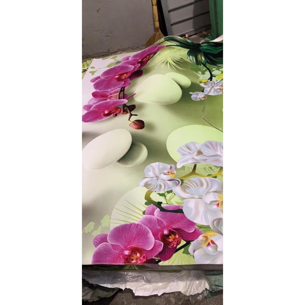 THẢM TRẢI SÀN 5D KT LỚN PP