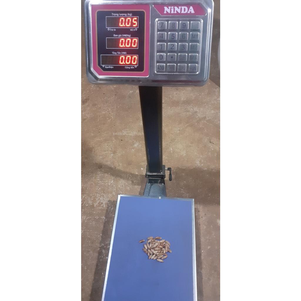 50 gram hạt giống chà là trung đông