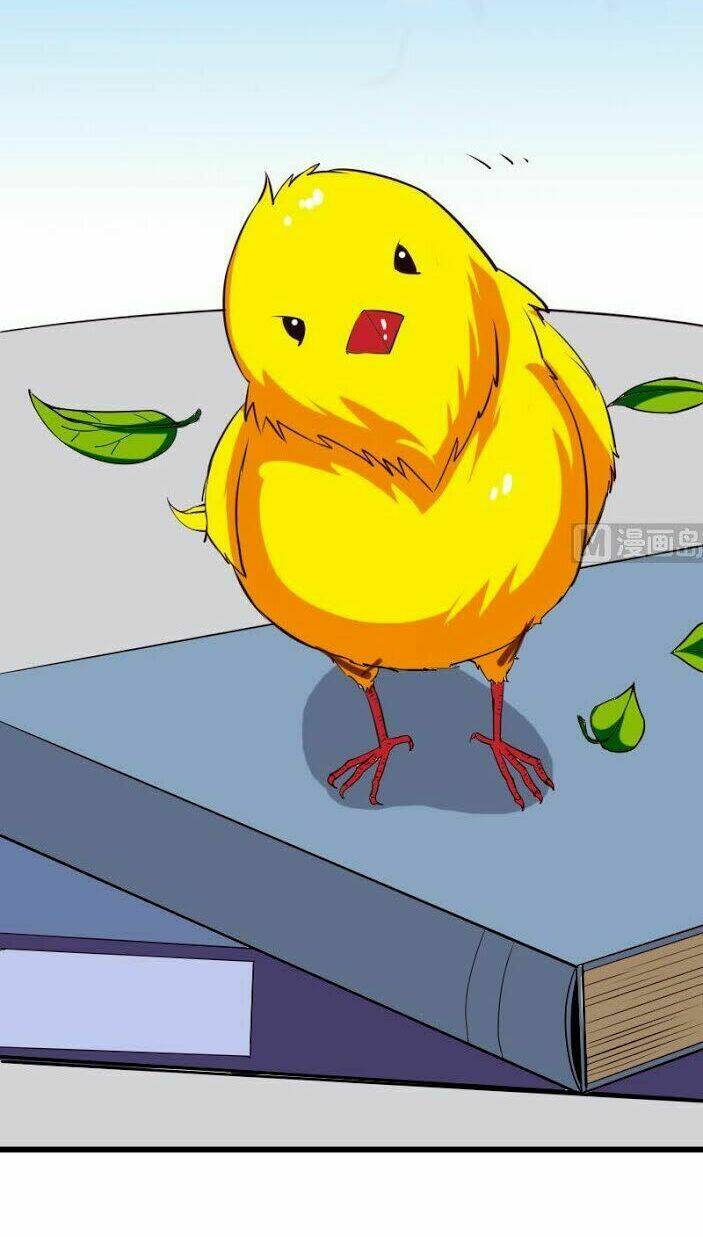 ngưu thư cung ứng thương chapter 38 11