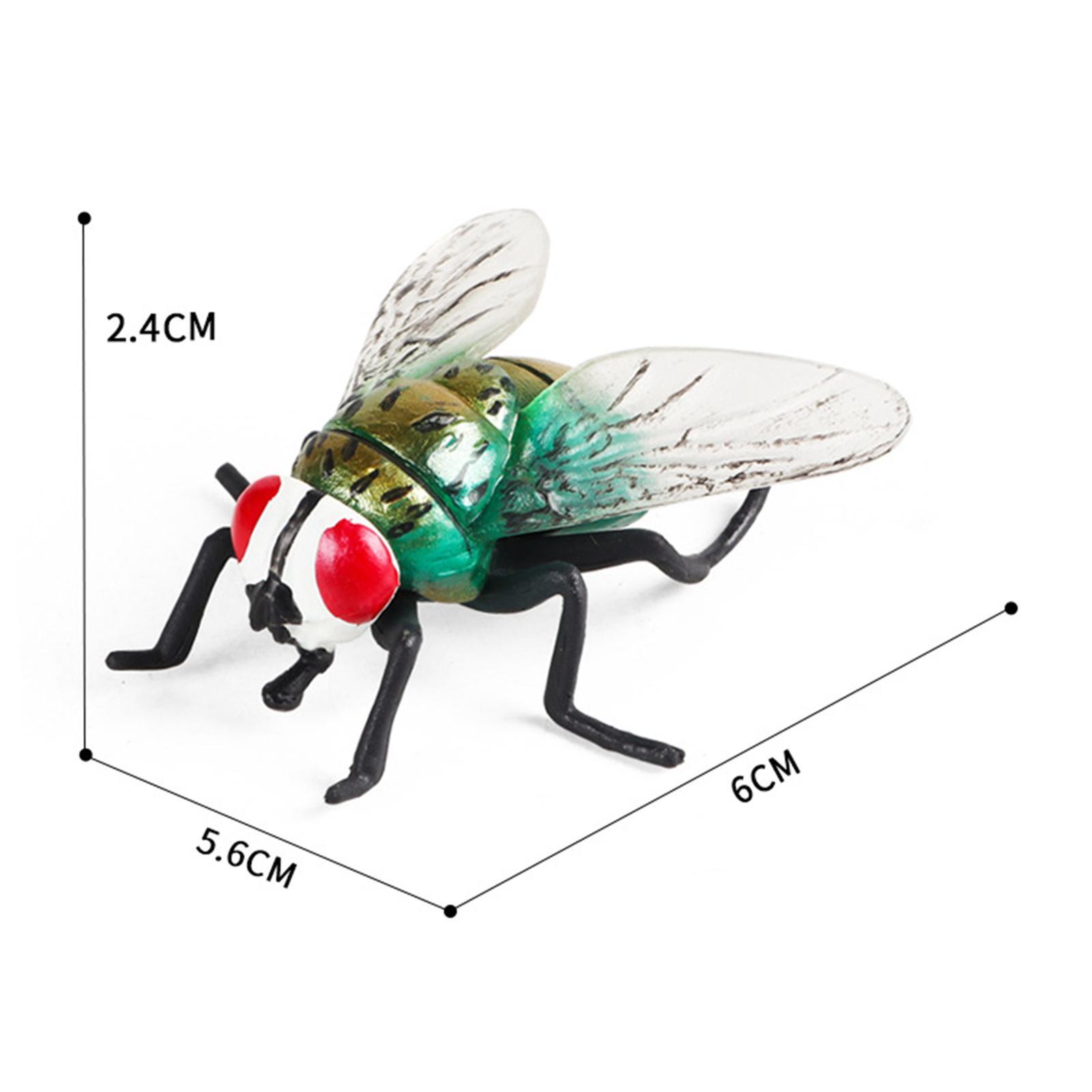 Realistic Fly Toys Educational Learning Toy Party Supplies for Boy Toddlers