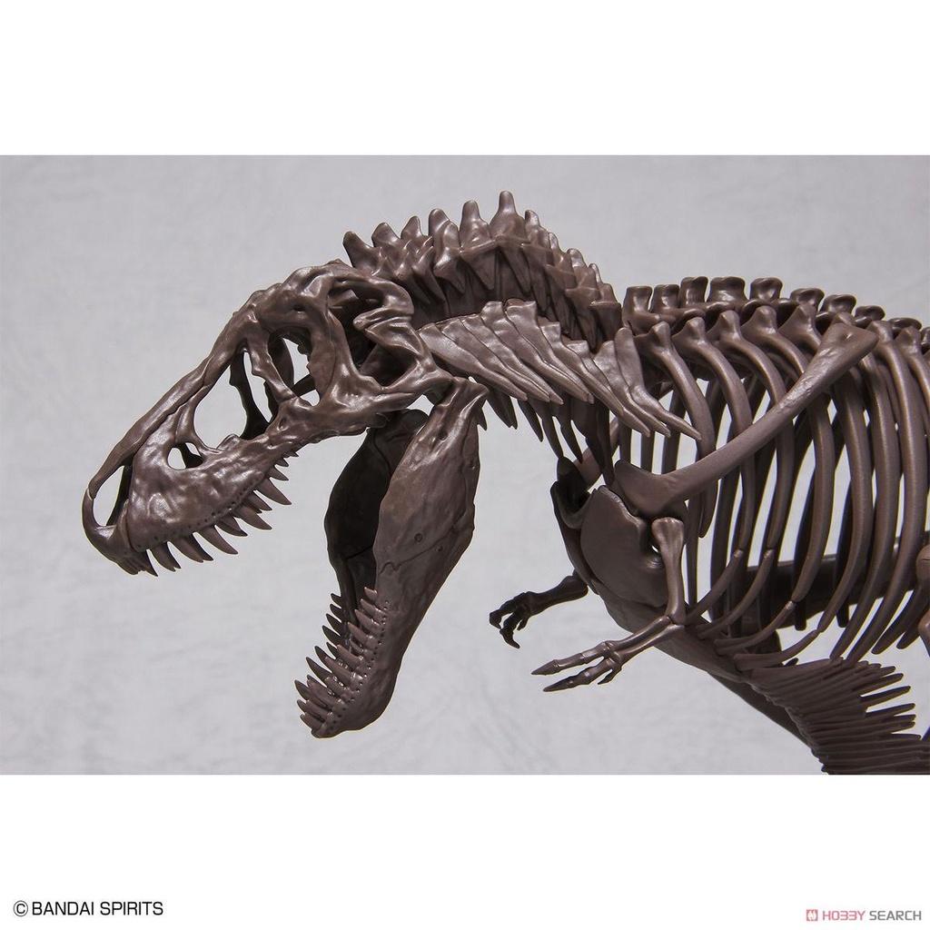 Bộ lắp ráp 1/32 Imaginary Skeleton Tyrannosaurus Khủng long bạo chúa