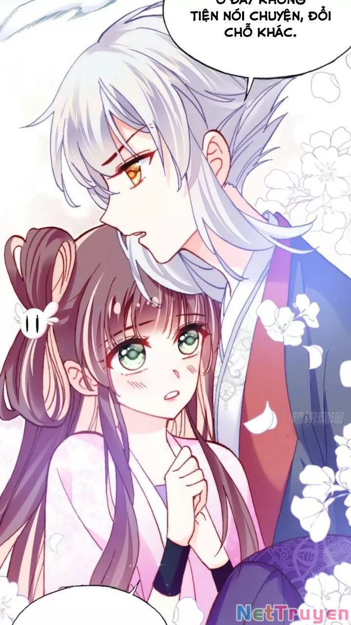 lại bị bệnh chiều chuộng quấn lấy chapter 34 36