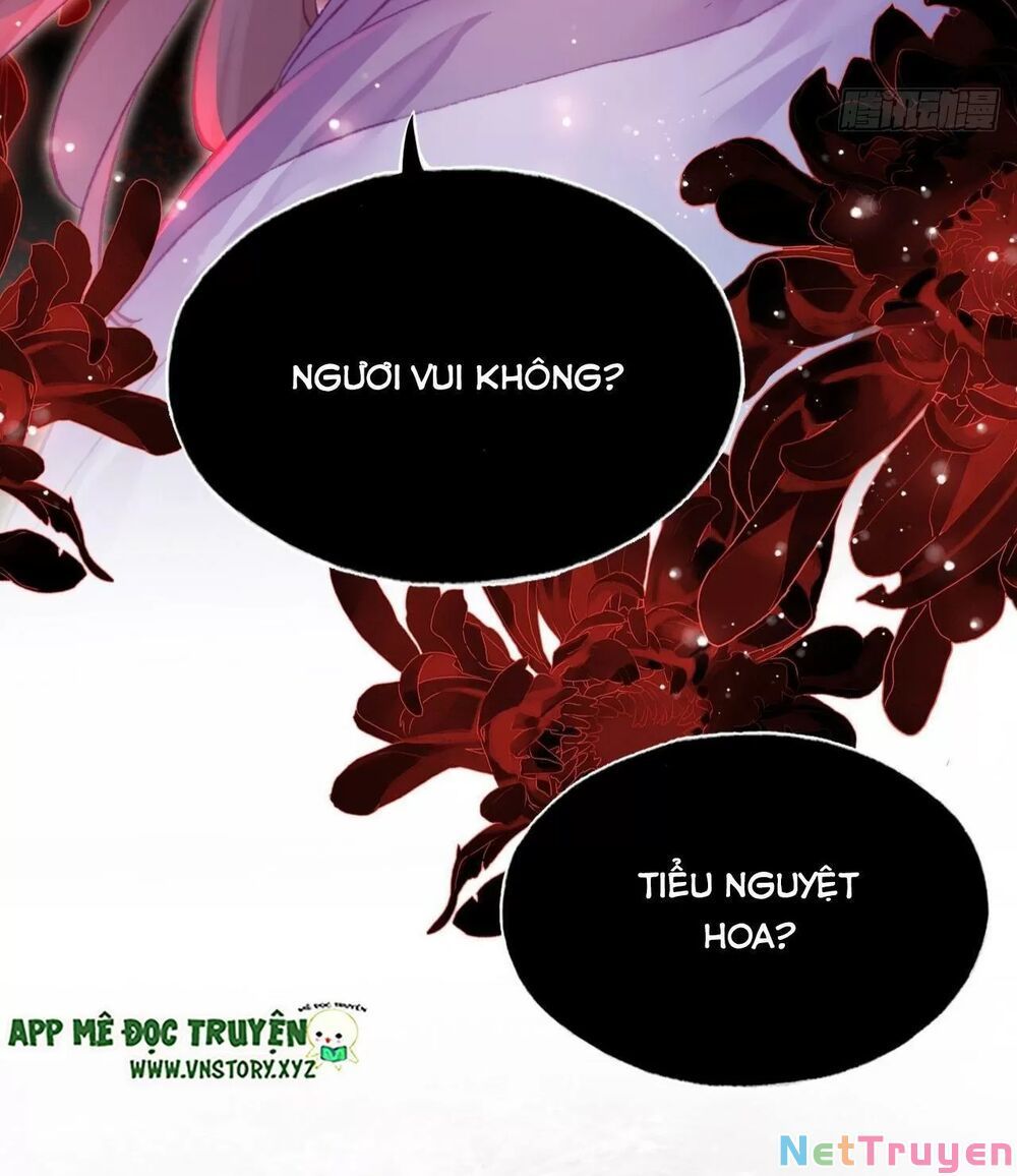 lại bị bệnh chiều chuộng quấn lấy chapter 59 79