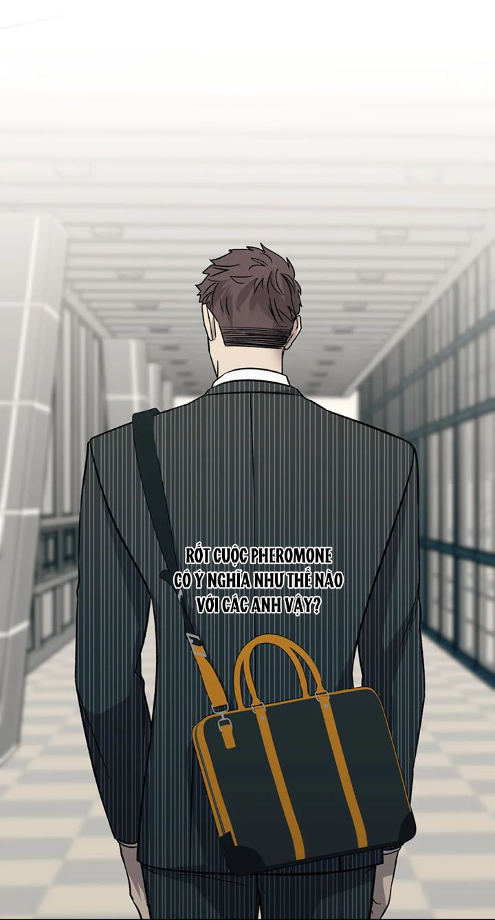 ám ảnh pheromone chapter 20 4