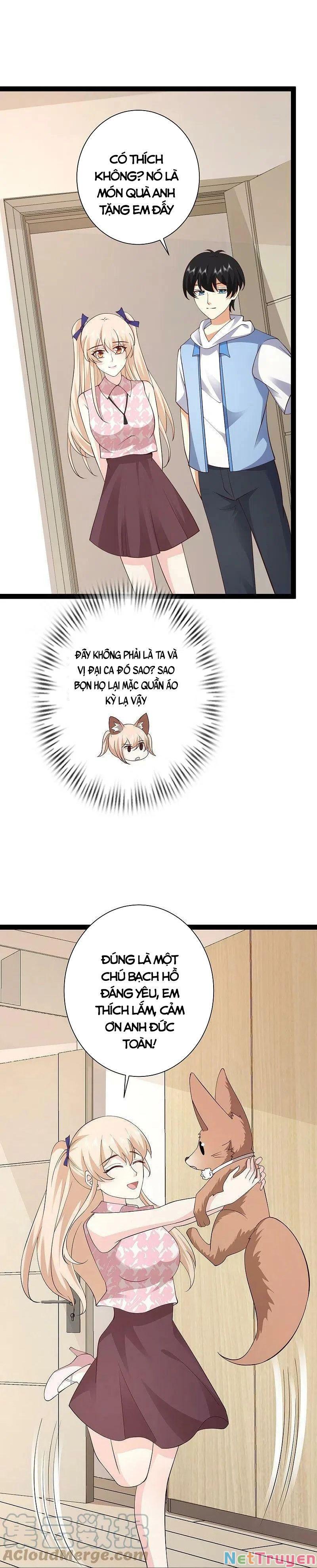 tối cường vận đào hoa chapter 276 2