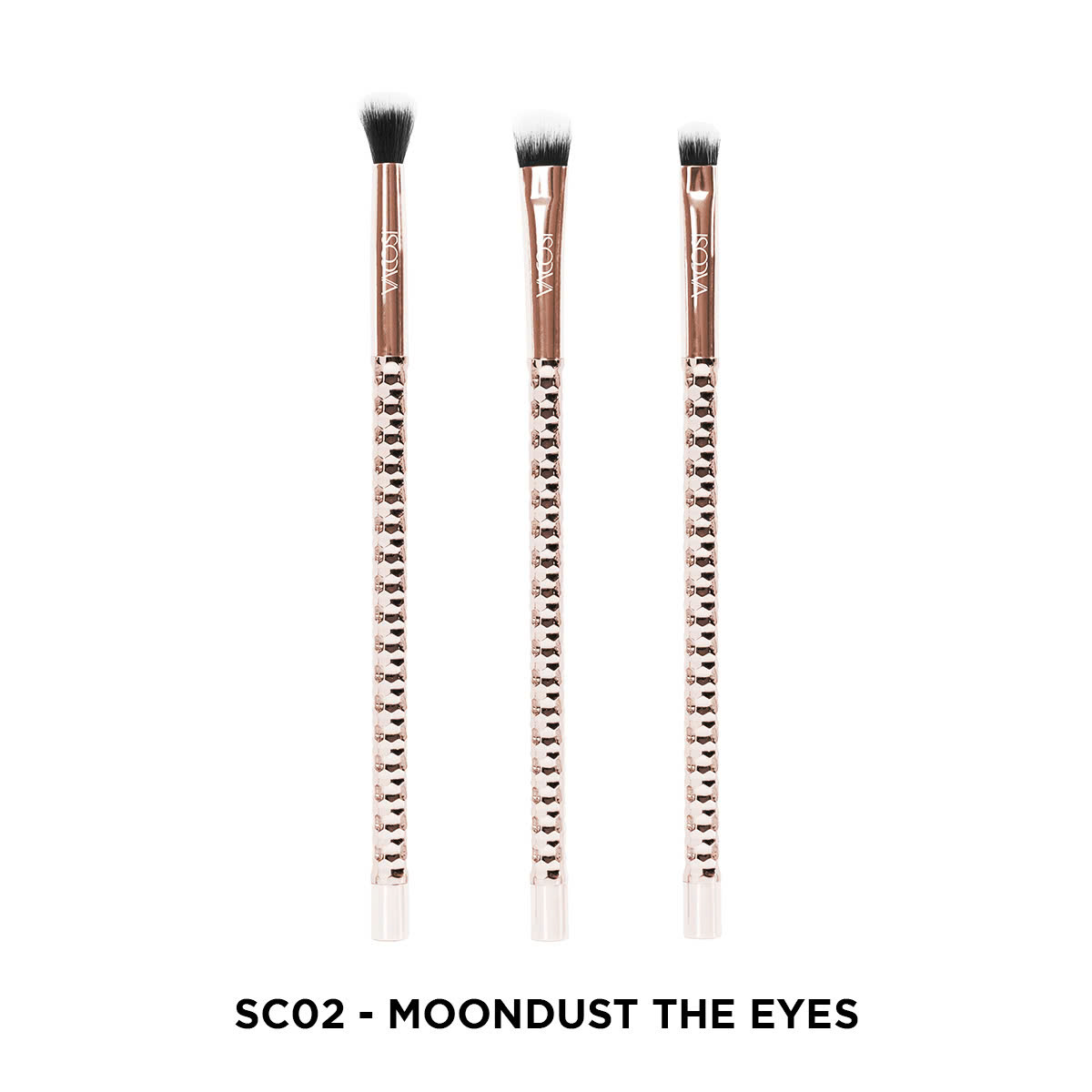 SC02 - BỘ KIT 3 CỌ MẮT VACOSI, PHIÊN BẢN GOLDEN DRAGON - VACOSI MOONDUST THE EYES BRUSH KIT, 3PCS