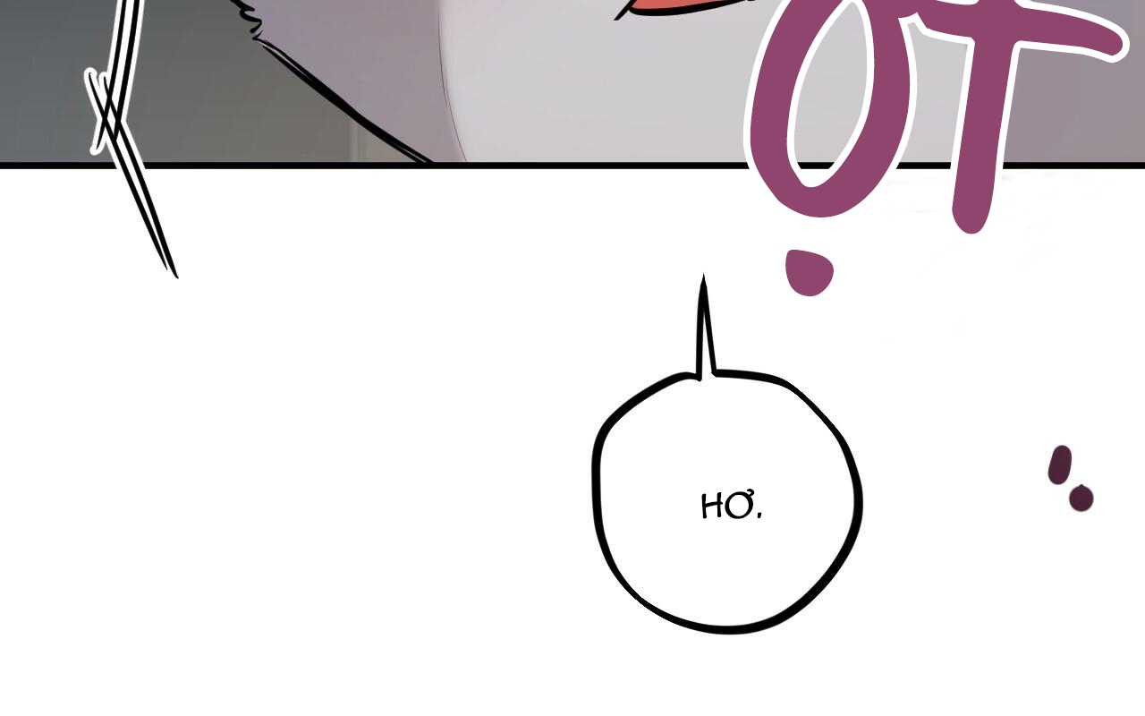 đàn thỏ của habibi chapter 46 18