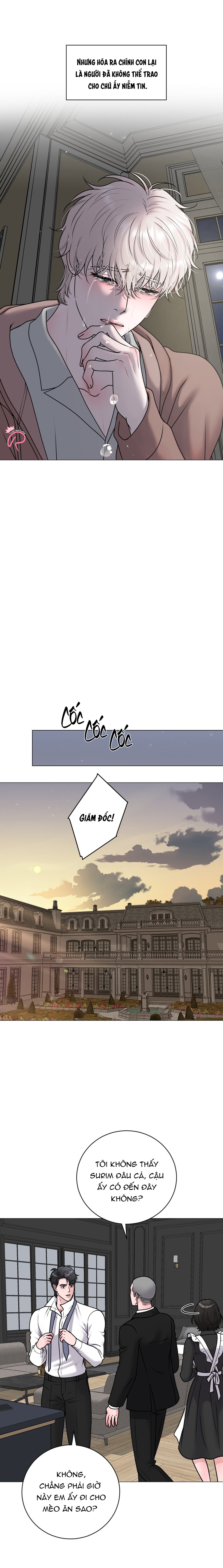 hư ảo chapter 30 12