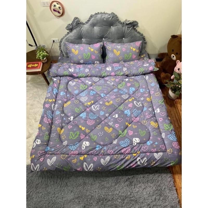 Bộ 5 món chăn ga gối chăn bông cotton poly hàng việt nam xuất khẩu