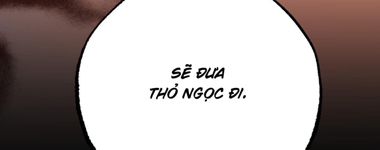 những chú thỏ của hapypy chapter 61 284