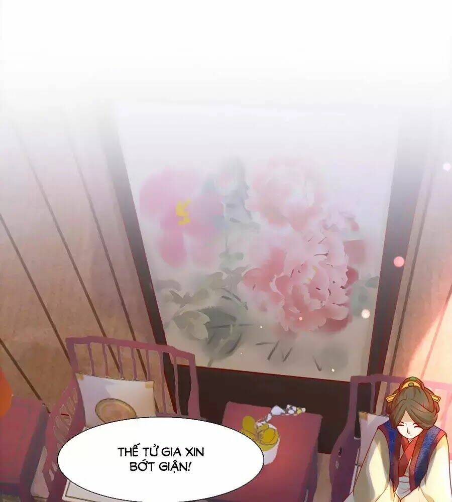 quyền phi chi đế y phong hoa chapter 1.1 16