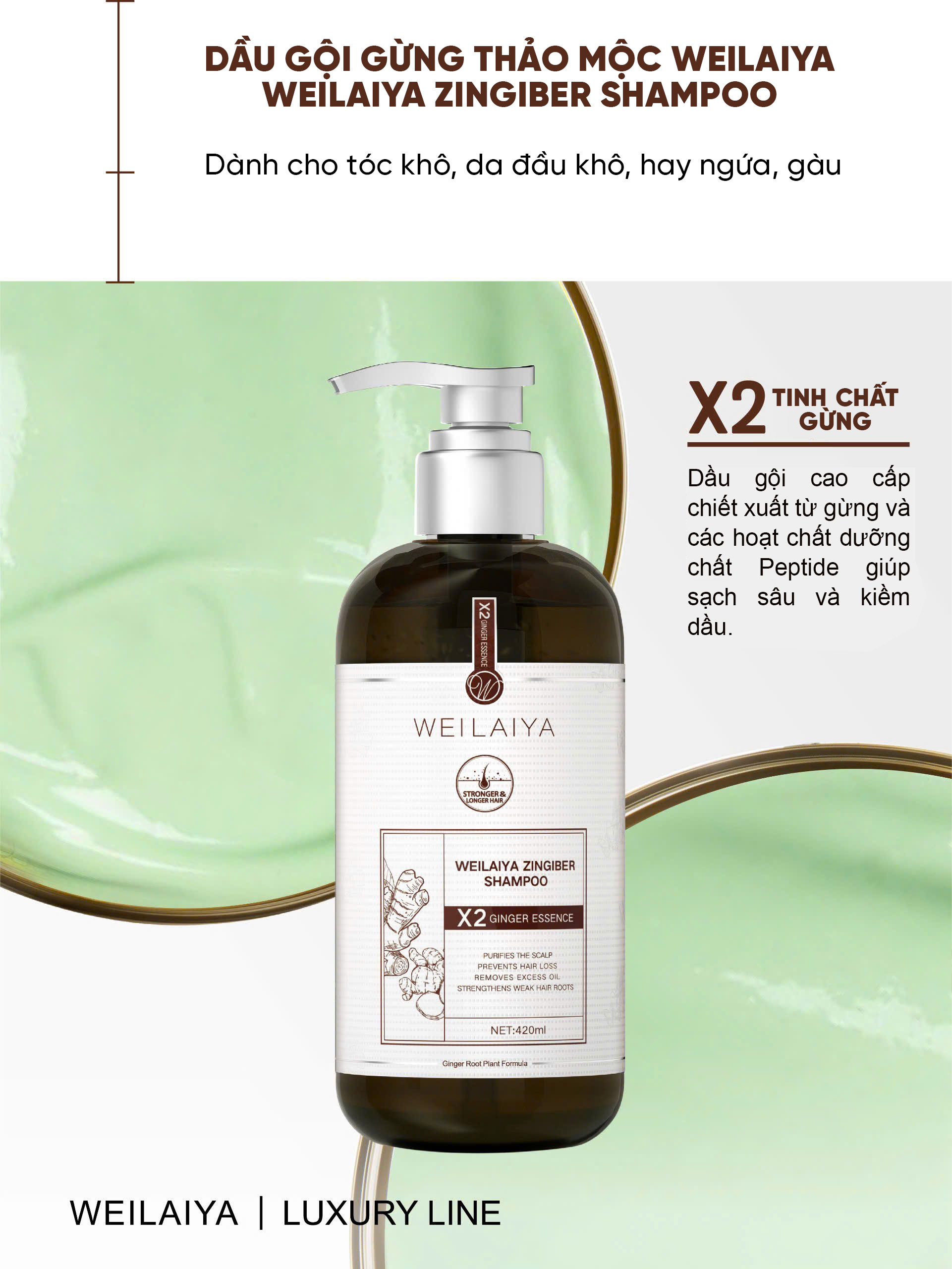 Cặp dầu gội xả gừng thảo mộc Weilaiya Luxury dành cho da đầu khô, thường