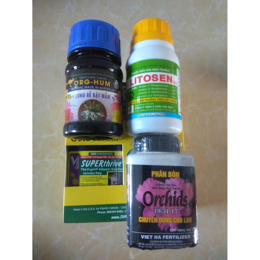 Bộ sản phẩm dưỡng cây sứ thái mập thân to lá - 100ml/chai